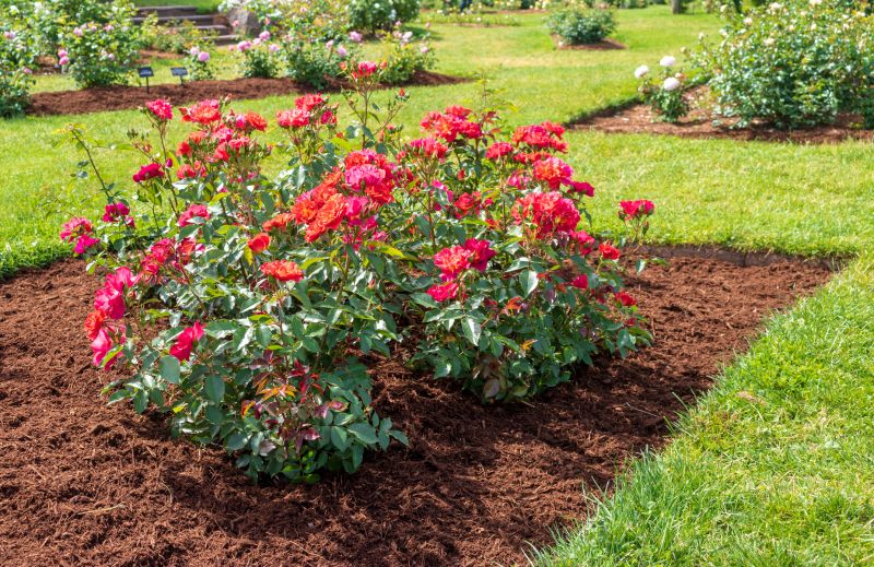 Flower Bed Mulching