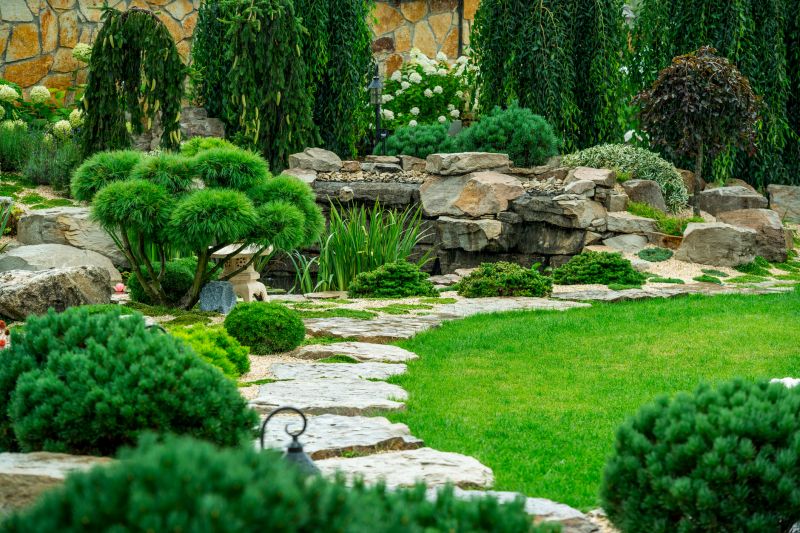 Stone Pathway and Planting