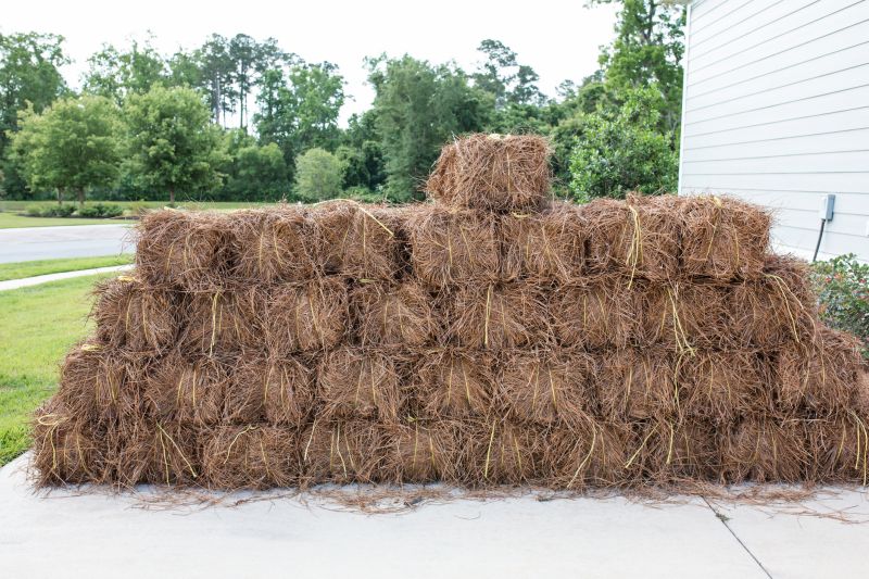 Pine Straw Spreading