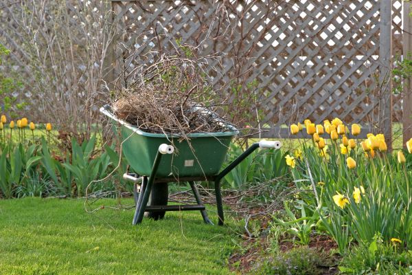 Flower Bed Cleanup Service in Cave Creek