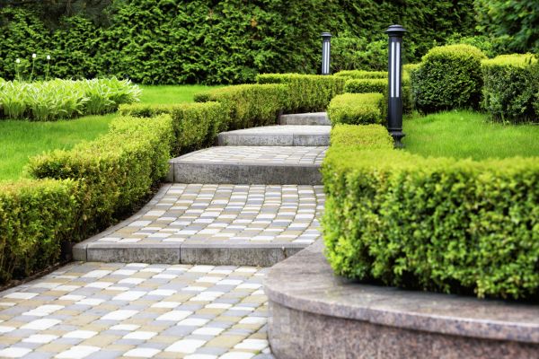 Backyard Remodeling in Cave Creek