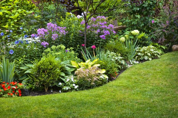 Flower Bed Service in Cave Creek