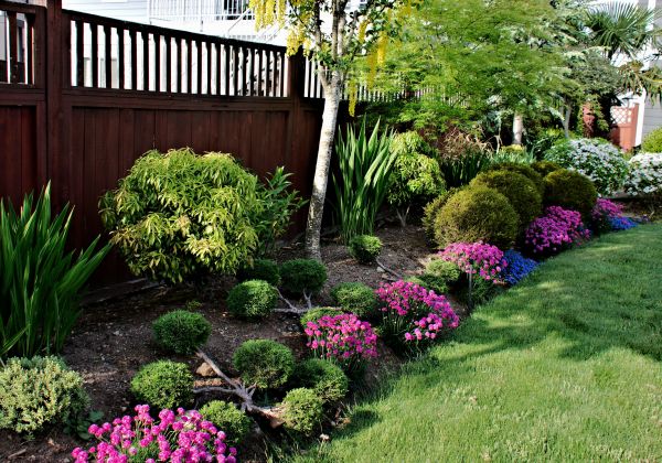 Flower Planting Service in Cave Creek