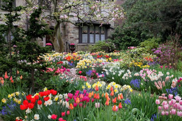 Garden Maintenance Service in Cave Creek