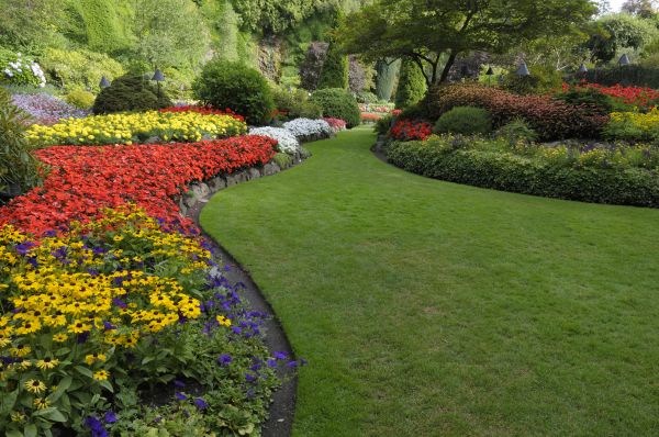 Landscaping Maintenance in Cave Creek