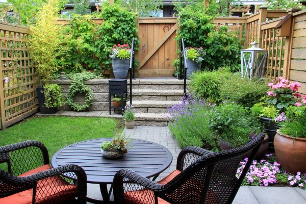 Small Yard Landscaping in Cave Creek