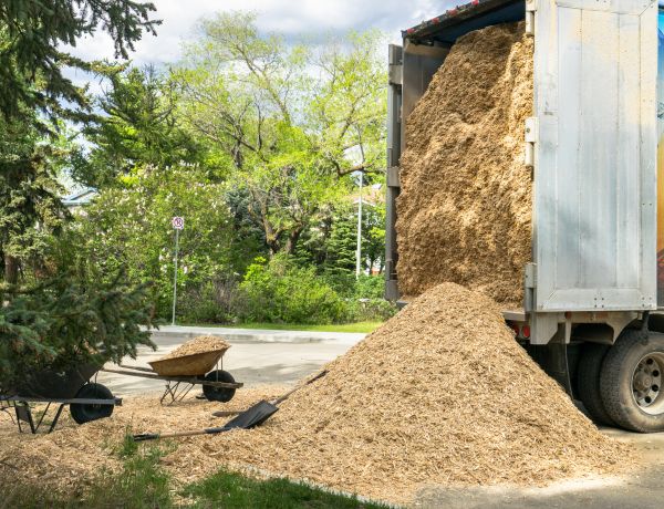 Wood Chips Delivery in Cave Creek