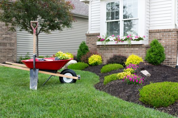 Landscape Maintenance Service in Cave Creek