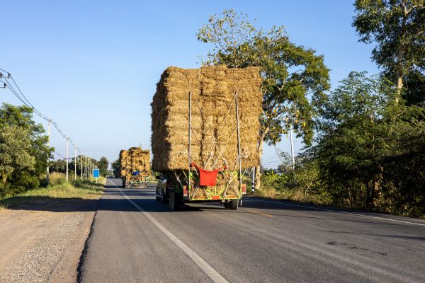 Pine Straw Delivery in Cave Creek