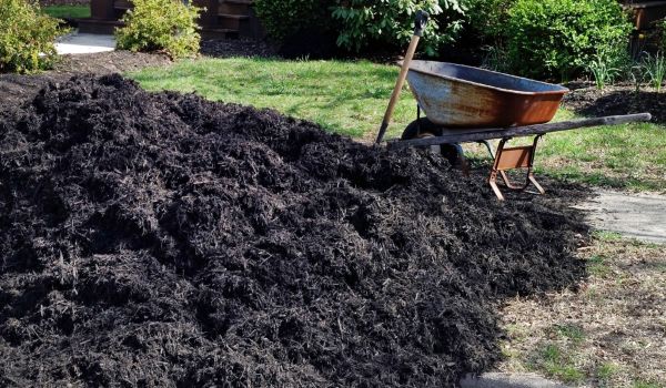 Black Mulch Delivery in Cave Creek