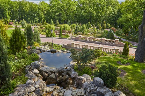 Landscape Architecture Service in Cave Creek
