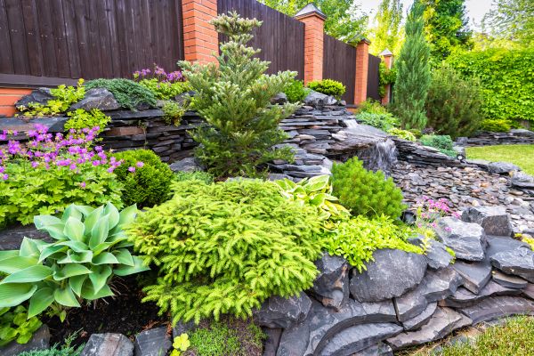 Landscape Remodeling in Cave Creek