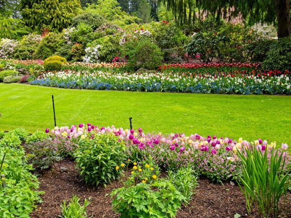 Residential Landscape Design in Cave Creek