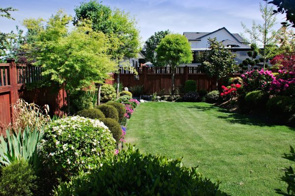 Lawn And Garden Installation in Cave Creek