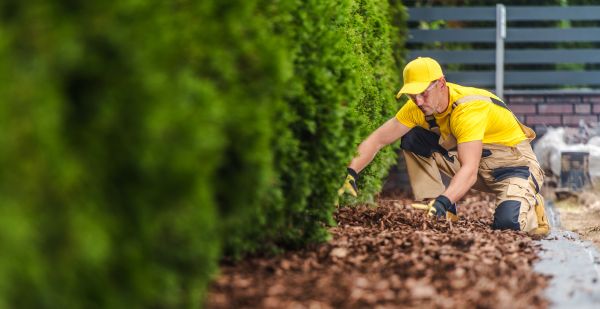 Cypress Mulch Installation in Cave Creek