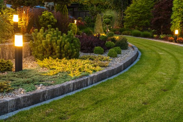 Garden Repair Service in Cave Creek