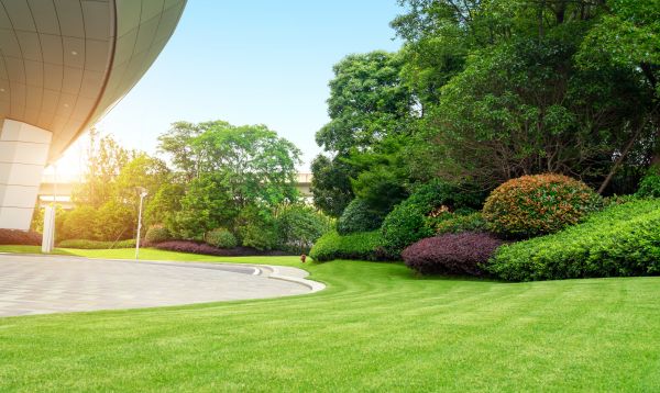 Business Landscape Design in Cave Creek