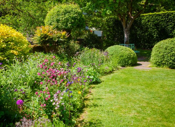 Yard Landscaping Service in Cave Creek