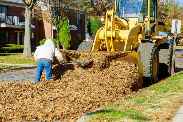 Mulch Hauling in Cave Creek