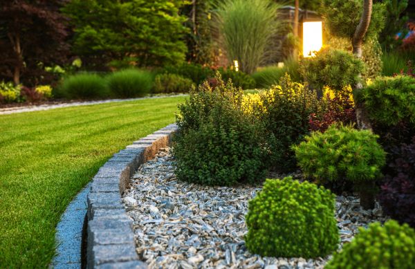 Landscaping Service in Cave Creek