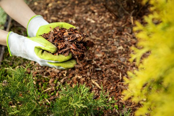 Garden Mulch Delivery in Cave Creek