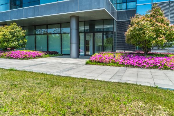Commercial Gardening in Cave Creek