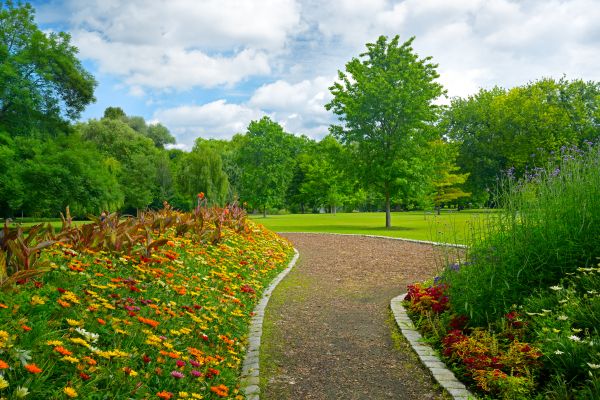 Park Landscaping in Cave Creek