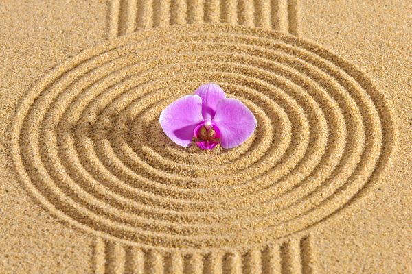 Sand Garden Landscaping in Cave Creek