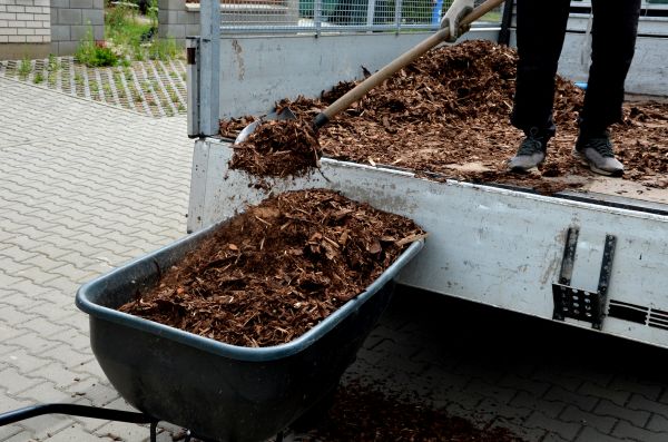 Cypress Mulch Delivery in Cave Creek