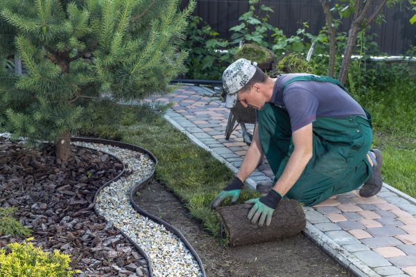 Landscaping Modification in Cave Creek