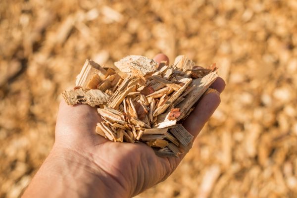 Wood Chips Spreading in Cave Creek