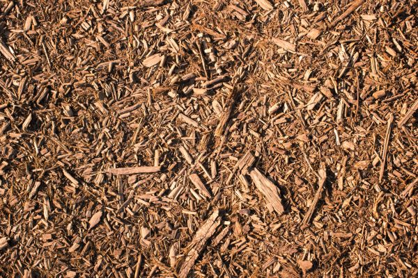 Wood Chips Removal in Cave Creek
