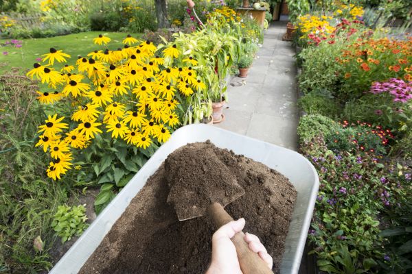 Topsoil Replacement in Cave Creek