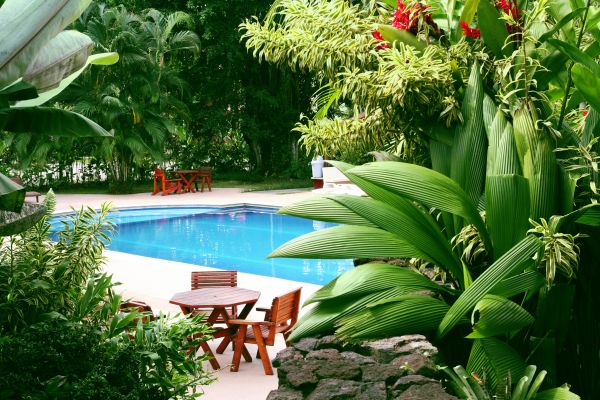 Pool Area Landscaping in Cave Creek