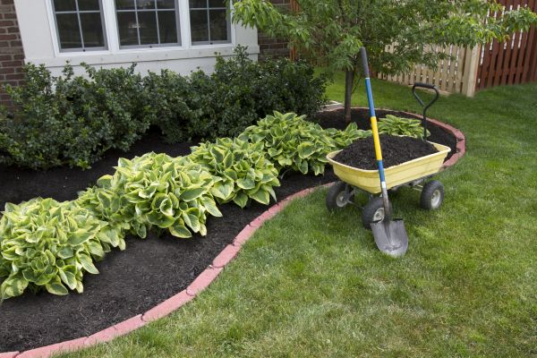 Landscape Mulching in Cave Creek