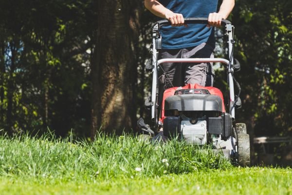 Garden Trimming Service in Cave Creek