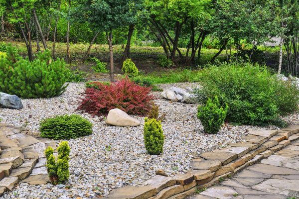 Hardscape Landscaping in Cave Creek