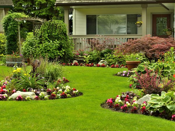 Flower Garden Planting in Cave Creek