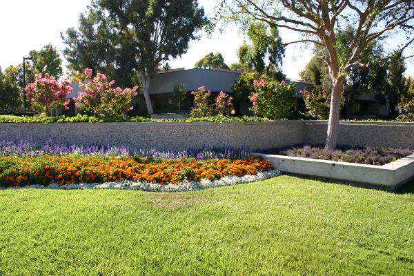 Commercial Landscape Service in Cave Creek