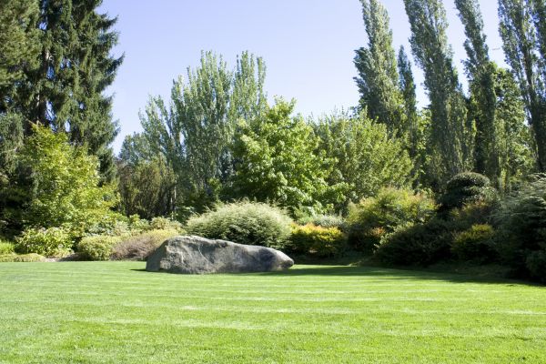 Yard Enlargement in Cave Creek