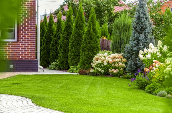 Spring Landscaping in Cave Creek