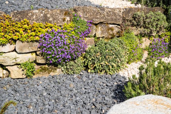 Landscaping Rocks Installation in Cave Creek