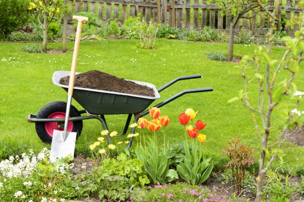 Spring Yard Renovation in Cave Creek