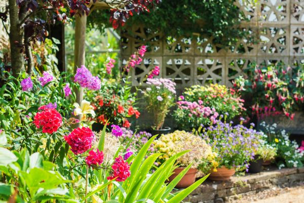 Spring Garden Maintenance in Cave Creek