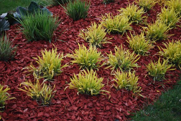 Red Mulch Installation in Cave Creek