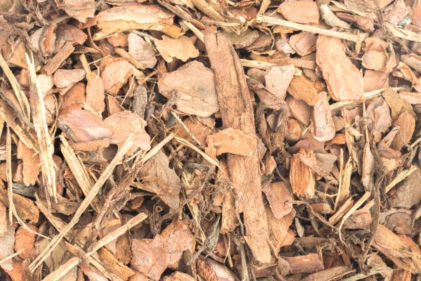 Bark Mulch Installation in Cave Creek