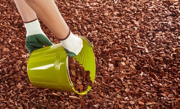 Wood Chip Landscaping in Cave Creek