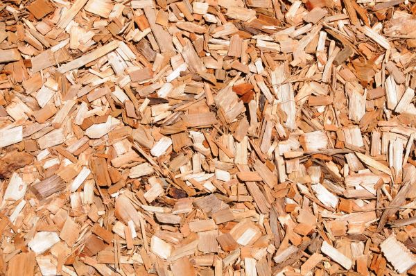 Cypress Mulch Spreading in Cave Creek