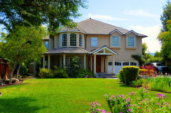 Large Yard Landscaping in Cave Creek
