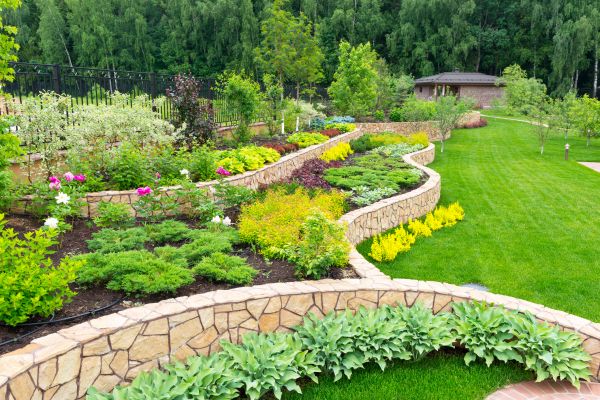 Home Garden Landscaping in Cave Creek